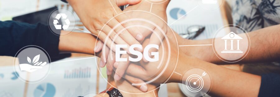 Sustainable partnership and ESG